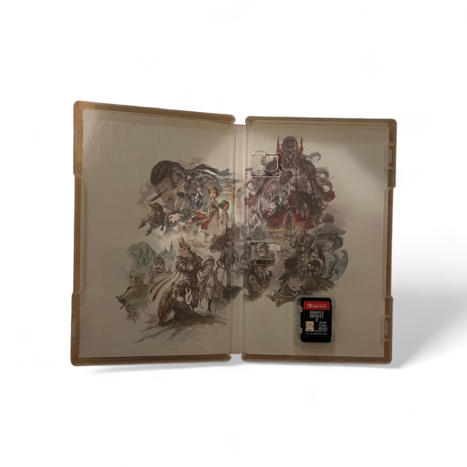 Bravely Default II gebraucht